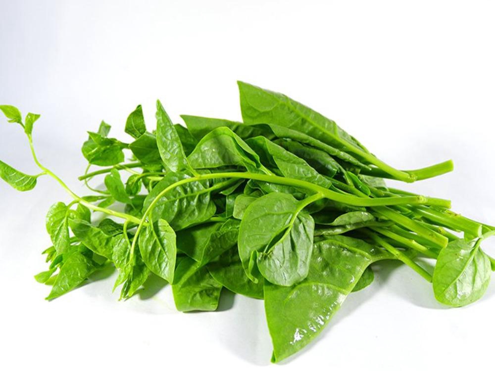 Rau mồng tơi tươi xanh